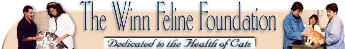 winn-banner